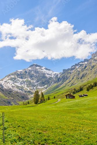 The Swiss Alps at Murren, Switzerland. Jungfrau Region. The valley of Lauterbrunnen from Interlaken.