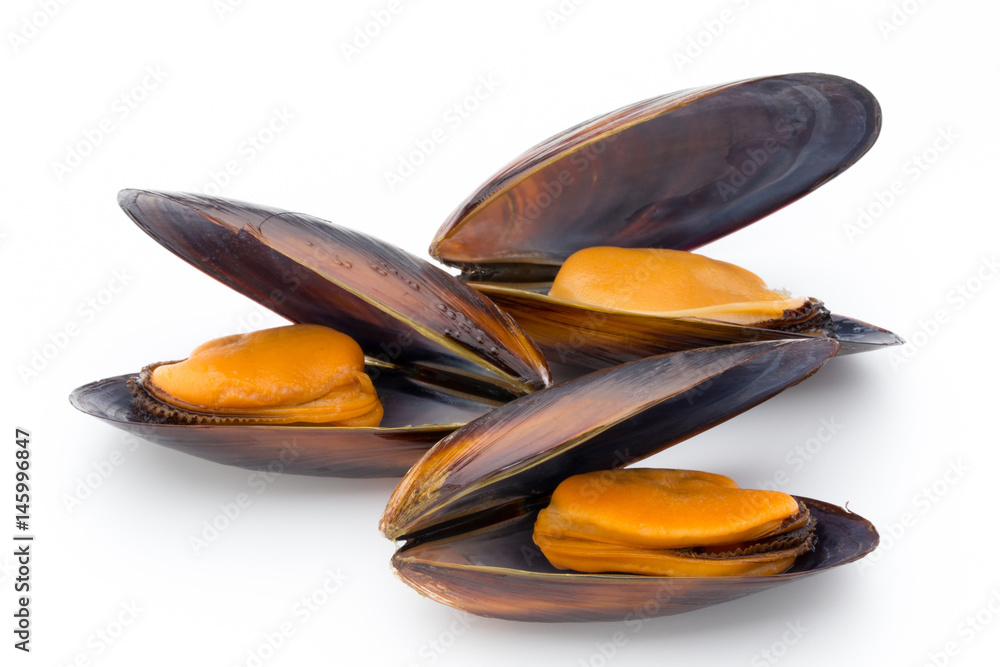 Mussels isolated on white background. Sea food. Mussels isolated on white background. Sea food.