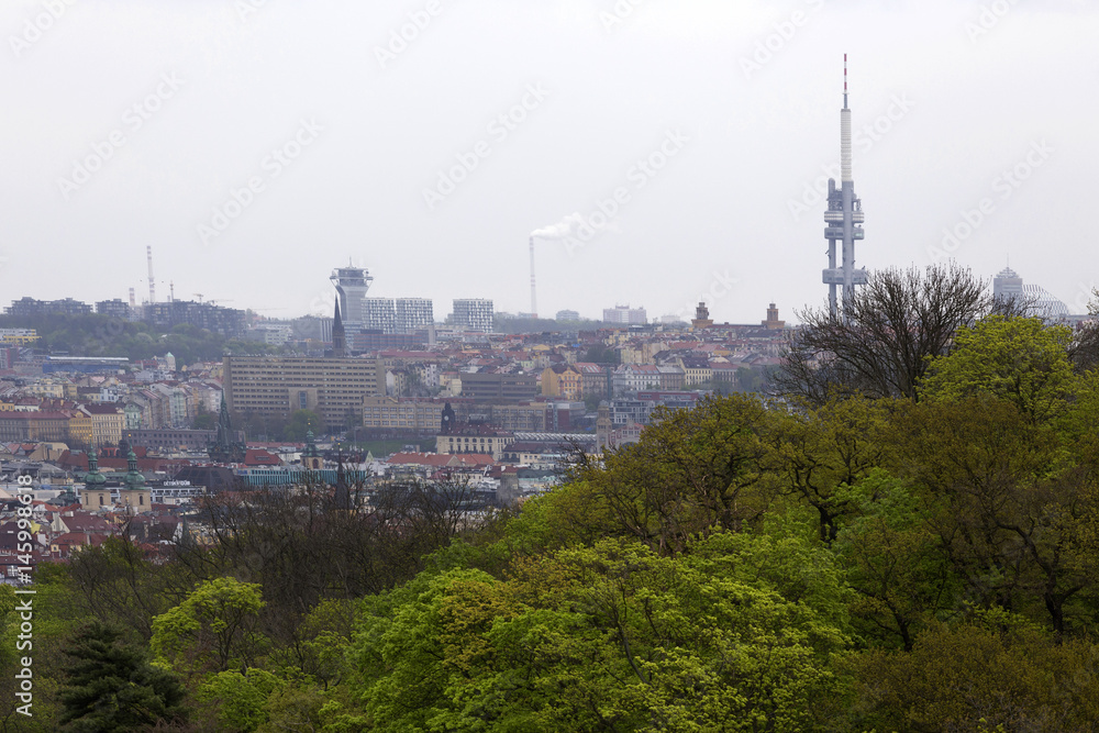 View on the spring Prague City with the green Nature and flowering Trees, Czech Republic