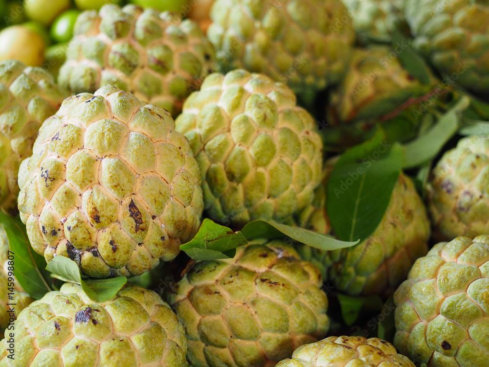 Fototapeta premium Custard apples (sugar apples) ready to sell in the market.
