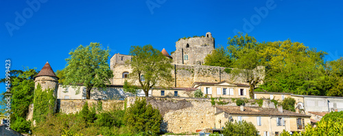 Chateau de Langoiran, a medieval castle in Gironde, France photo