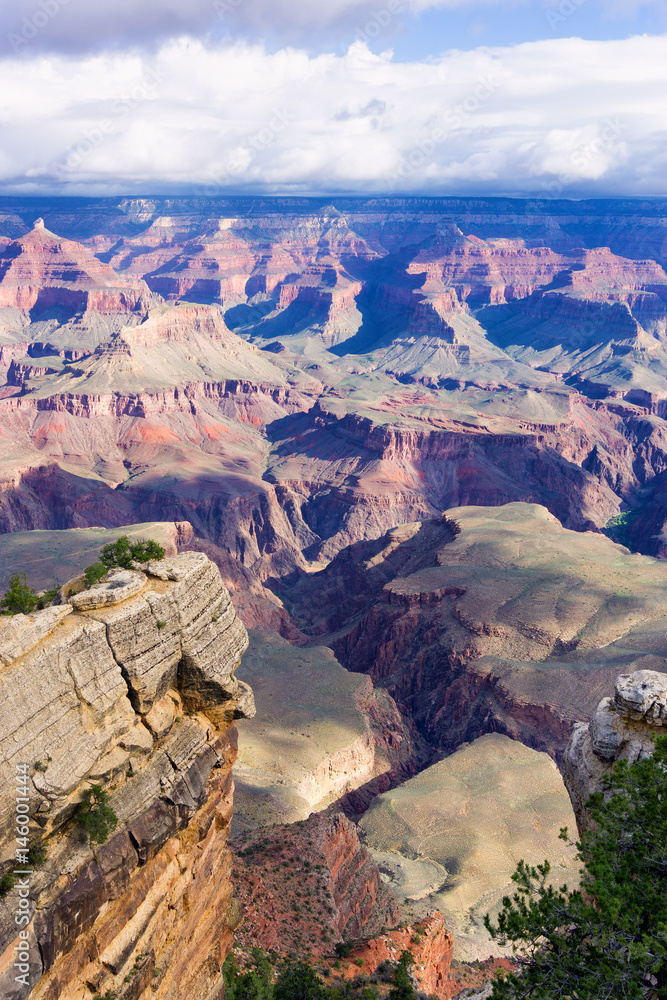 Grand Canyon Vertical View
