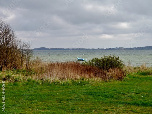 Ostsee hinter Wiese