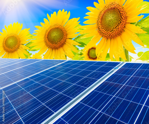 Solar panels and sunflowers landscape