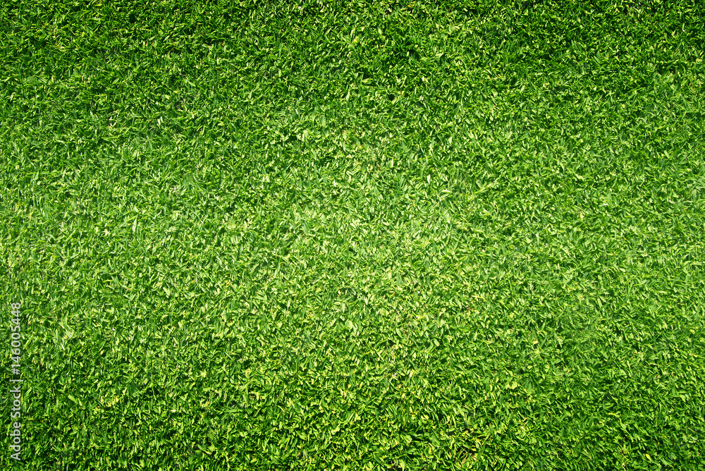 Obraz premium grass background Golf Courses green lawn