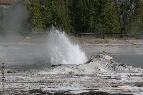 Comet Geyser, Yellowstone National Park