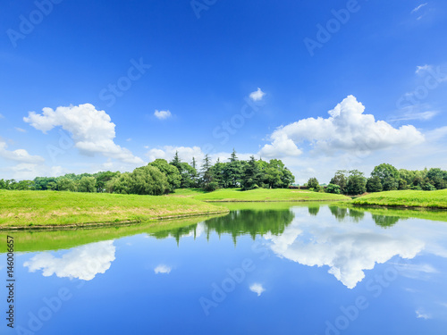 Fototapeta Naklejka Na Ścianę i Meble -  green grass and pond under the blue sky