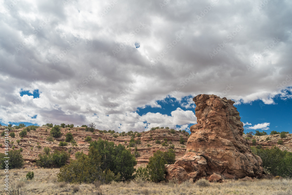 Central New Mexico, USA, landscape.