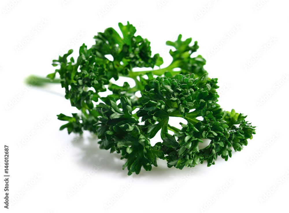 parsley isolated on a white background parsley isolated on a white background