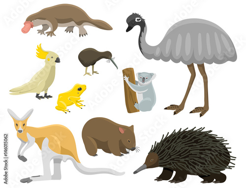 Australia wild animals cartoon popular nature characters flat style mammal collection vector illustration.