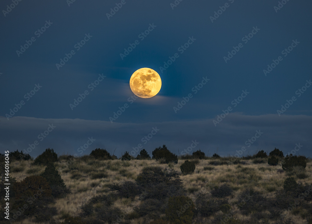 Obraz na plátně Full moon rising over the desert