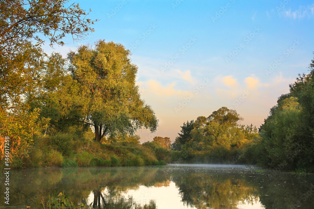 Fototapeta premium summer rural landscape with river