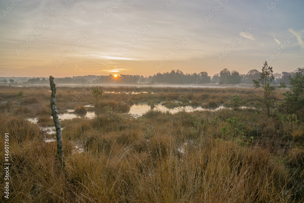 Moorland by sunrise with flare