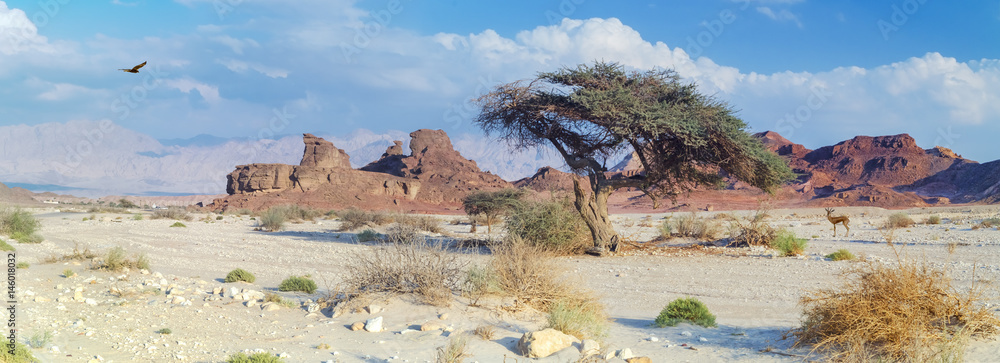 Εκτύπωση καμβά Geological nature park Timna is located 25 km north of Eilat (Israel); it combin