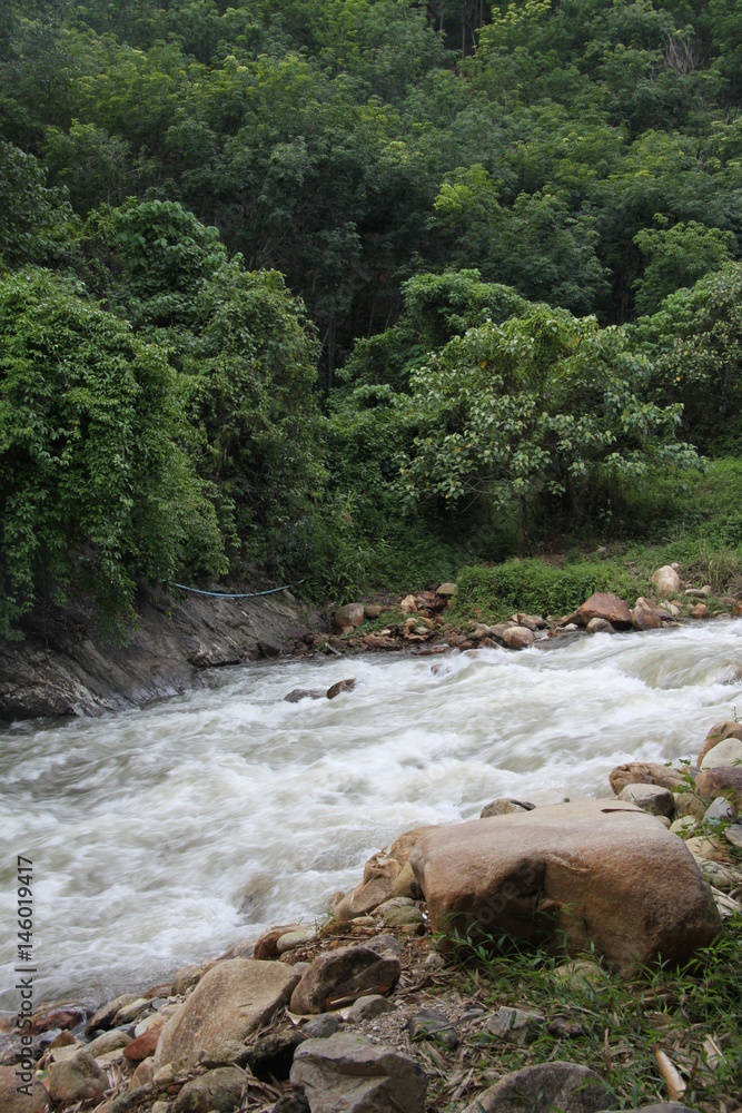 Fototapeta River in the forest in motion