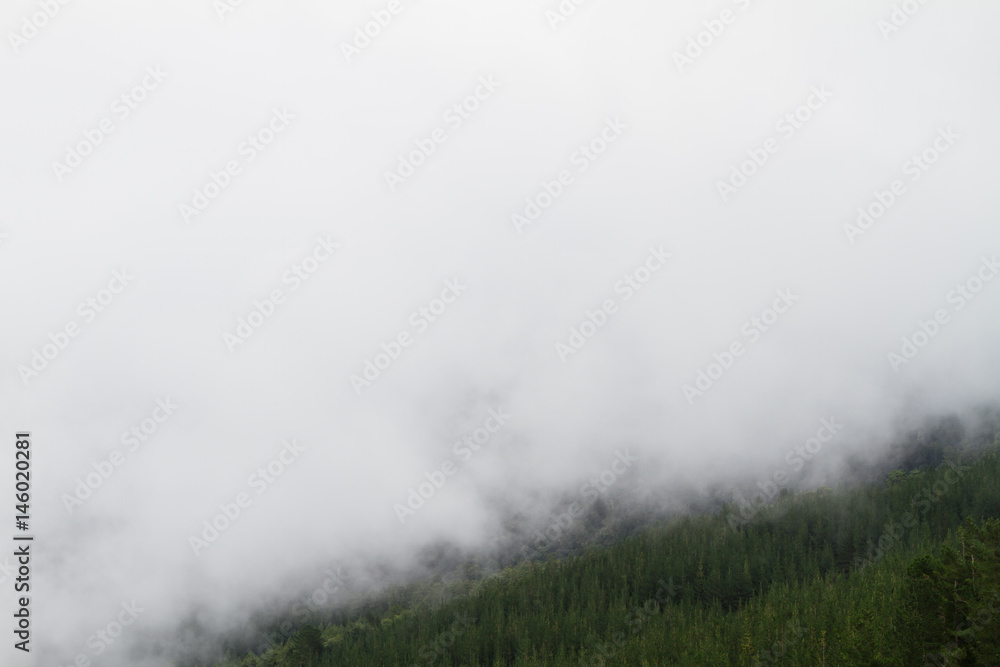 mist over hogsback landscape