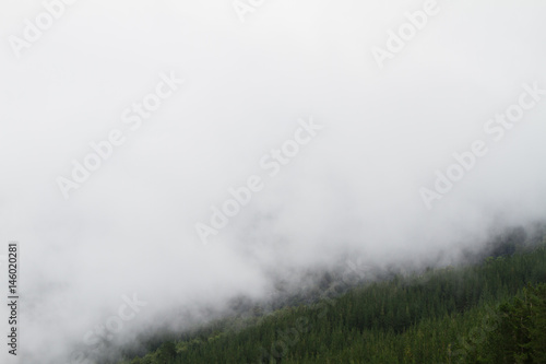 mist over hogsback landscape