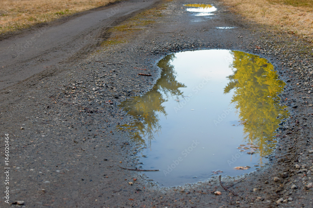 Dirt road after rain. Trees reflecting in a puddle. Dirt road after rain. Trees reflecting in a puddle.