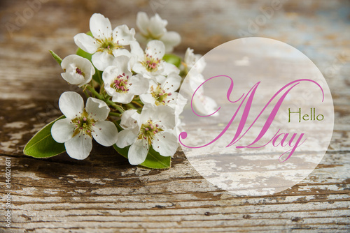 Hello May wallpaper with blooming flowers