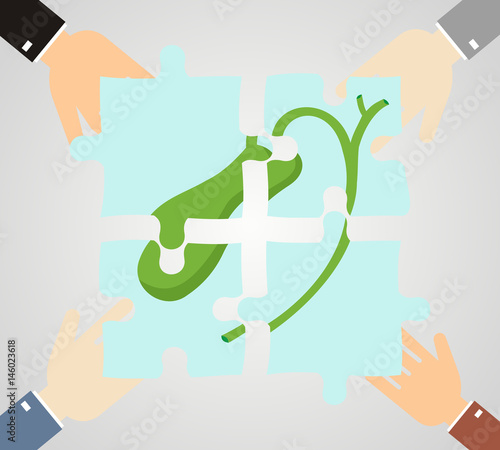 Healthcare concept. Hands hold pieces puzzle of gallbladder.
