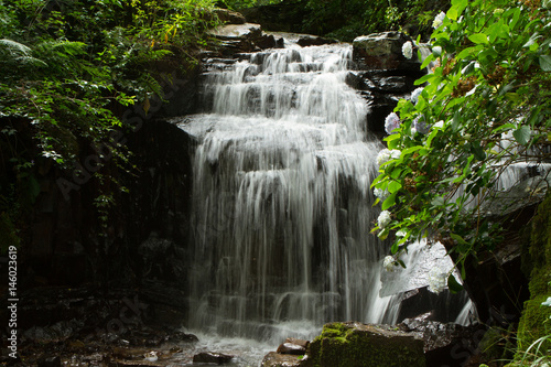 Fototapeta Naklejka Na Ścianę i Meble -  Waterfall Hogsback