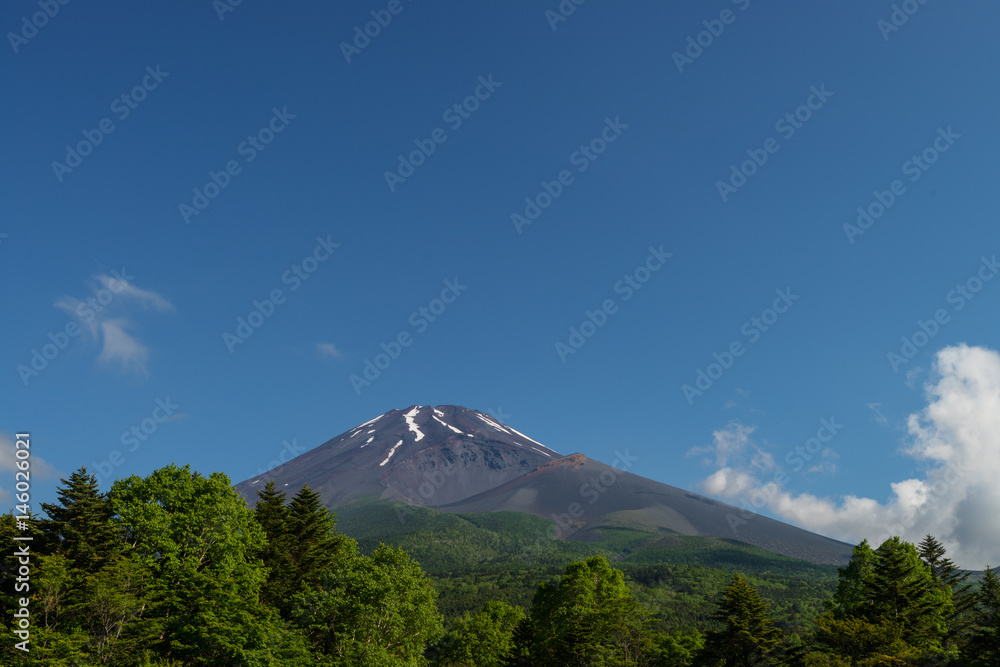水ヶ塚から見た富士山 水ヶ塚から見た富士山