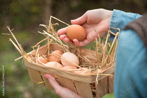 A farmer hand holding a fresh hen egg and other eggs in a basket