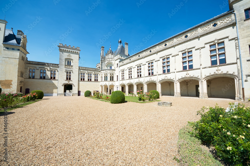 Naklejka premium Breze castle view