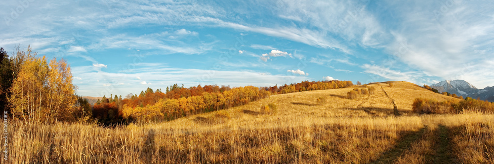 Autumn subalpine landscape with colorful groves, snow top and clouds at sunset. Caucasus. Russia. The Caucasian reserve. Abago pasture