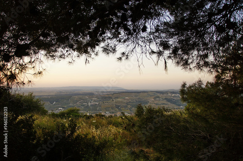 View of the valley from under the crown of cedar, Israel 