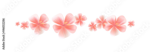 Pink flying flowers isolated on white background. Sakura flowers. Cherry blossom. Vector