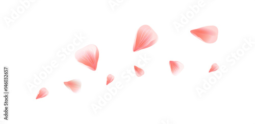 Pink Red flying petals isolated on white background. Sakura Roses petals. Vector 
