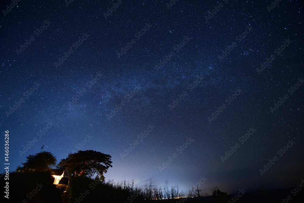 Night sky with the Milky Way over the forest and trees,Thailand. Night sky with the Milky Way over the forest and trees,Thailand.
