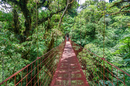 Fototapeta Naklejka Na Ścianę i Meble -  Suspended Bridge at Monteverde Cloud Forest, Costa Rica