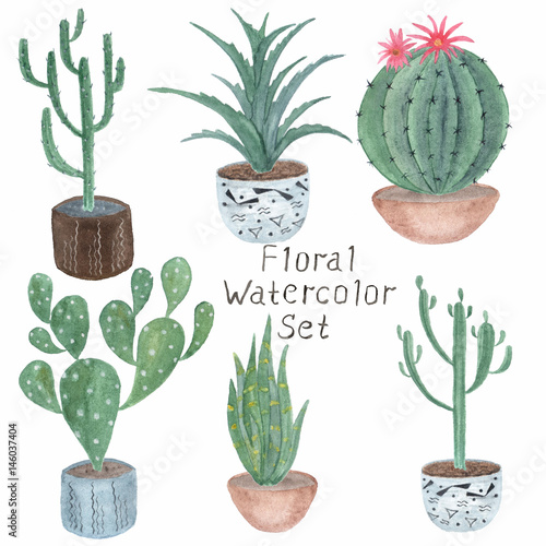 Watercolor  floral set. Cacti in pots on white background. Isolated.