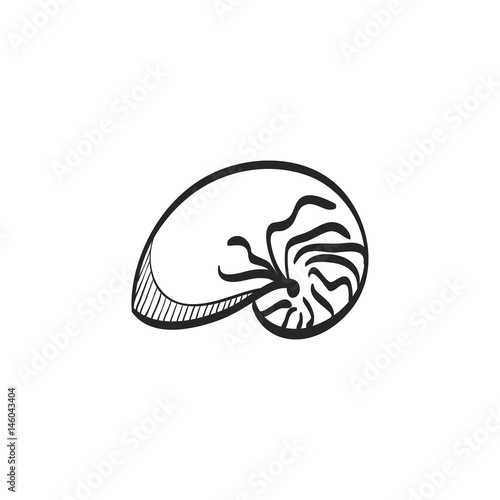Sketch icon - Nautilus