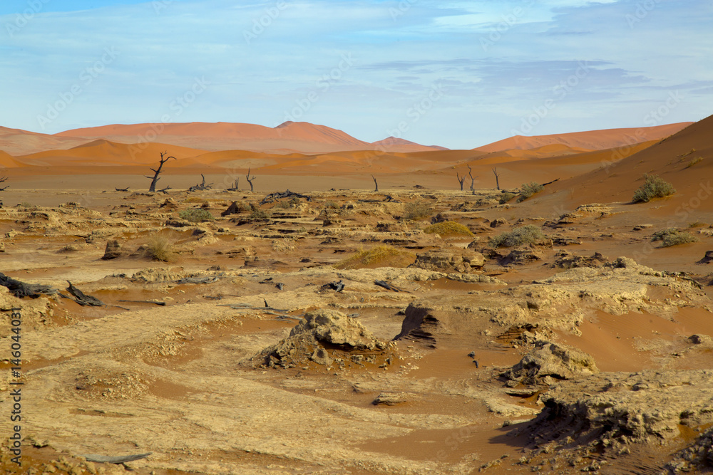 Namib desert in Sossusvlei region Namibia March