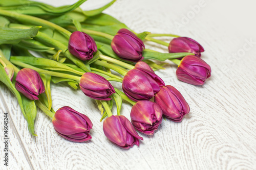 Fototapeta Naklejka Na Ścianę i Meble -  fresh purple tulips on wood background