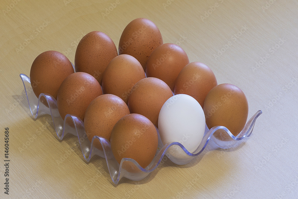 tolerance friendship concept