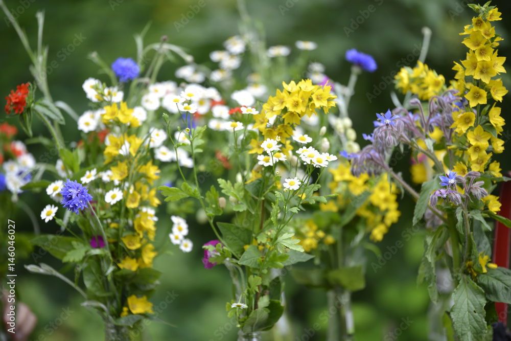 Obraz premium Small summer bouquets