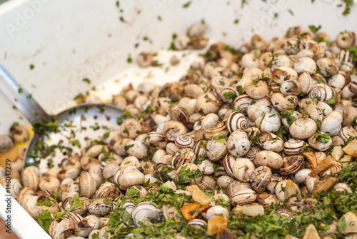 Lots of pile snails from an Sicilian market