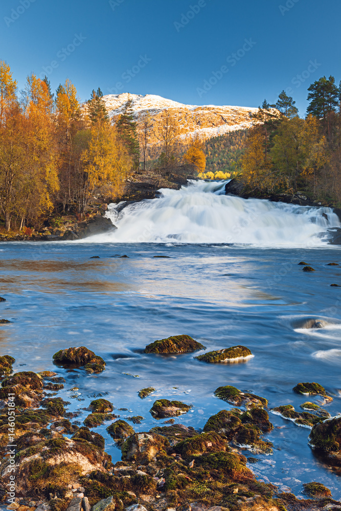 Mountain river flow with waterfalls, blue water, golden trees, snow-covered mountains - autumn in Norway.