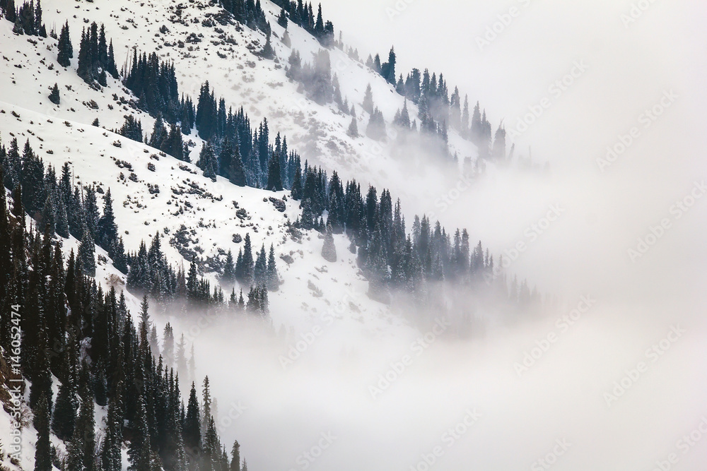 Misty winter forest on the mountain slope in the fog