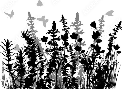 Naklejka batterflies powyżej czarno-szare rośliny na białym tle