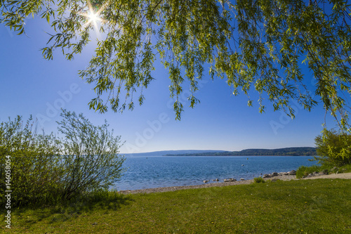 Fototapeta Naklejka Na Ścianę i Meble -  Ferien am schönen Bodensee Sommerzeit mit blauen Himmel und Sonnenschein