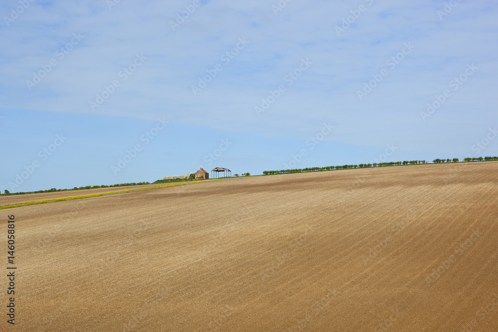 derelict farm and cultivated soil