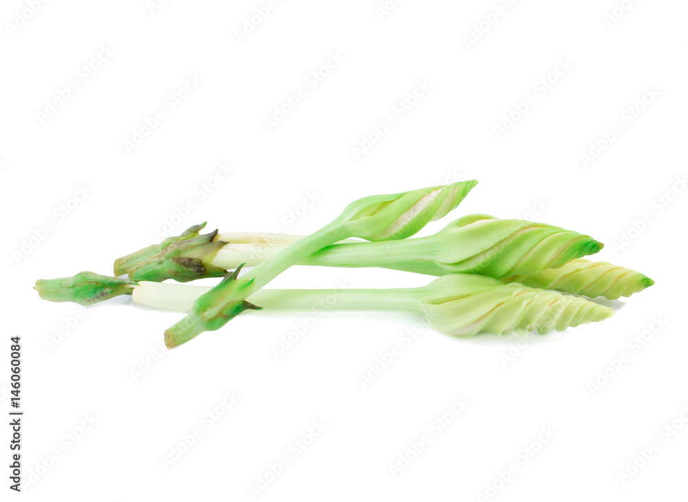 comchan flo organic comchan flo organic