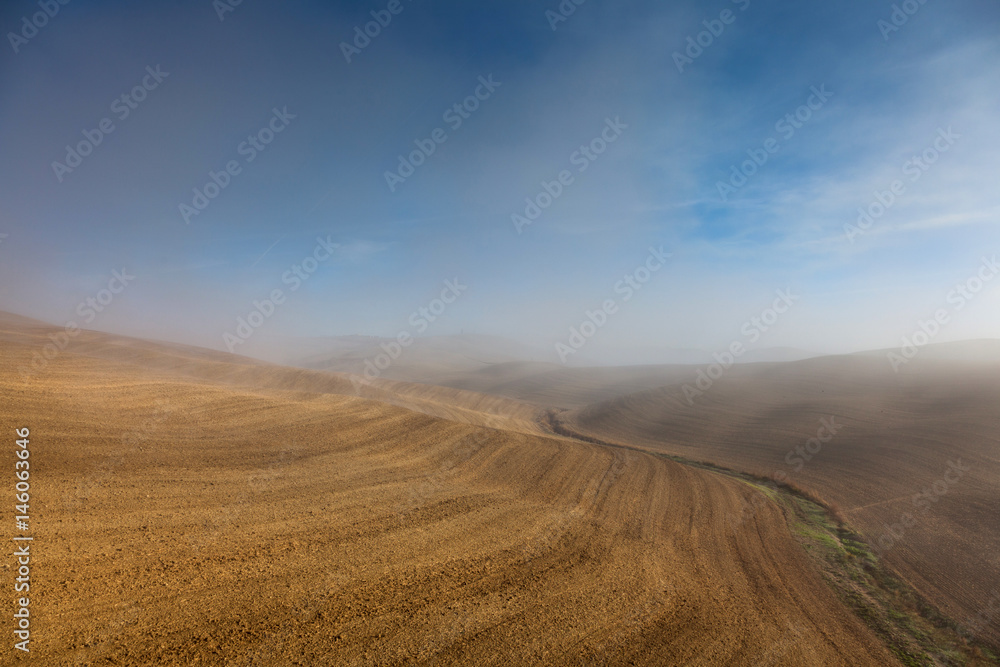 Agricultural fields landscape. Agriculture farm field.