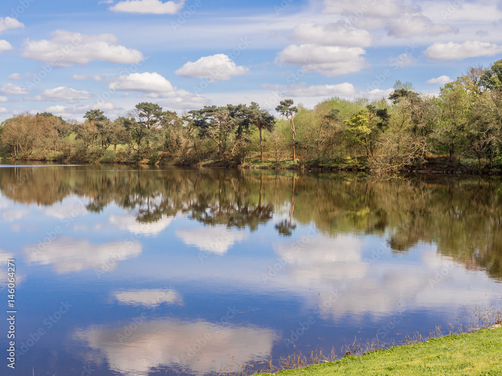 Obraz premium Beautiful springtime morning at Worthington Lakes at Standish, Lancashire, UK