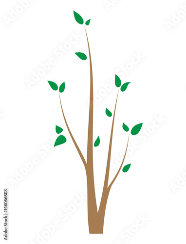 Branch of a tree with young leaves. Seedling on white. Isolated design element.